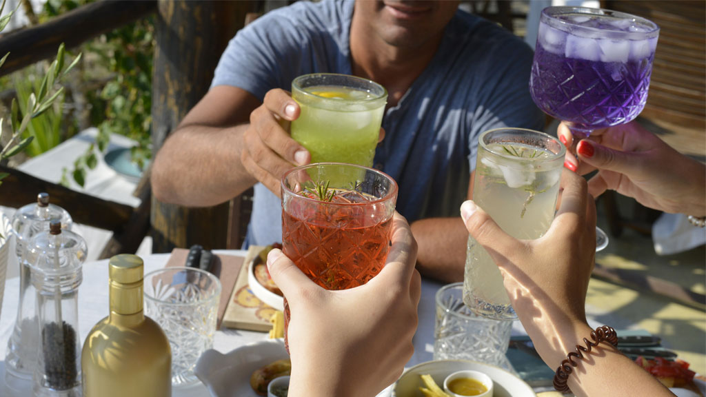 Sélection de bouteilles de spiritueux sans alcool Nona et SOVAGE sur étagère de bar moderne